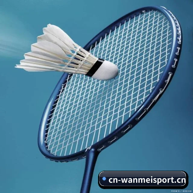 业务扩张 - 注册用户突破500万,与多家国际顶级内容供应商建立战略合作。